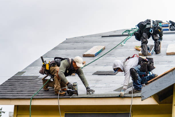 Professional Gutter Installation technician working in Cologne, MN